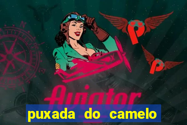 puxada do camelo no jogo do bicho